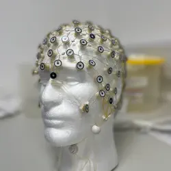 eeghead.jpeg